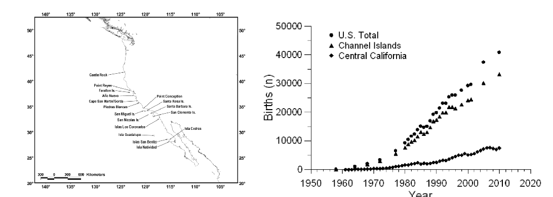 <p>Northern elephant seal recovery: </p><ul><li><p>Commercial hunting STOPPED in the late 1800’s (too few seals) </p></li><li><p>Seal abundance recovered to >200,000 today </p></li><li><p>Reduced GENETIC VARIATION didn’t prevent recovery, at least in this case → lost more GENETIC DIVERSITY </p></li></ul><p></p>
