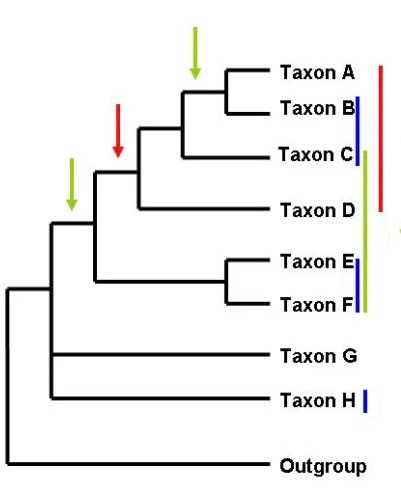 <p>What does red show</p>