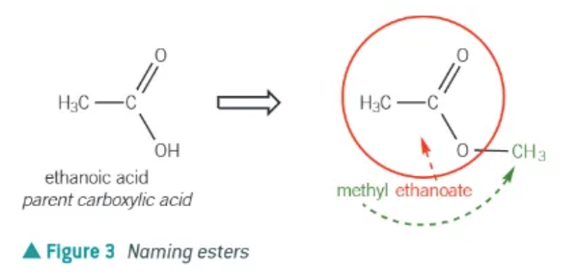 <p>prefix = alcohol</p><p>suffix = carboxylic acid </p>