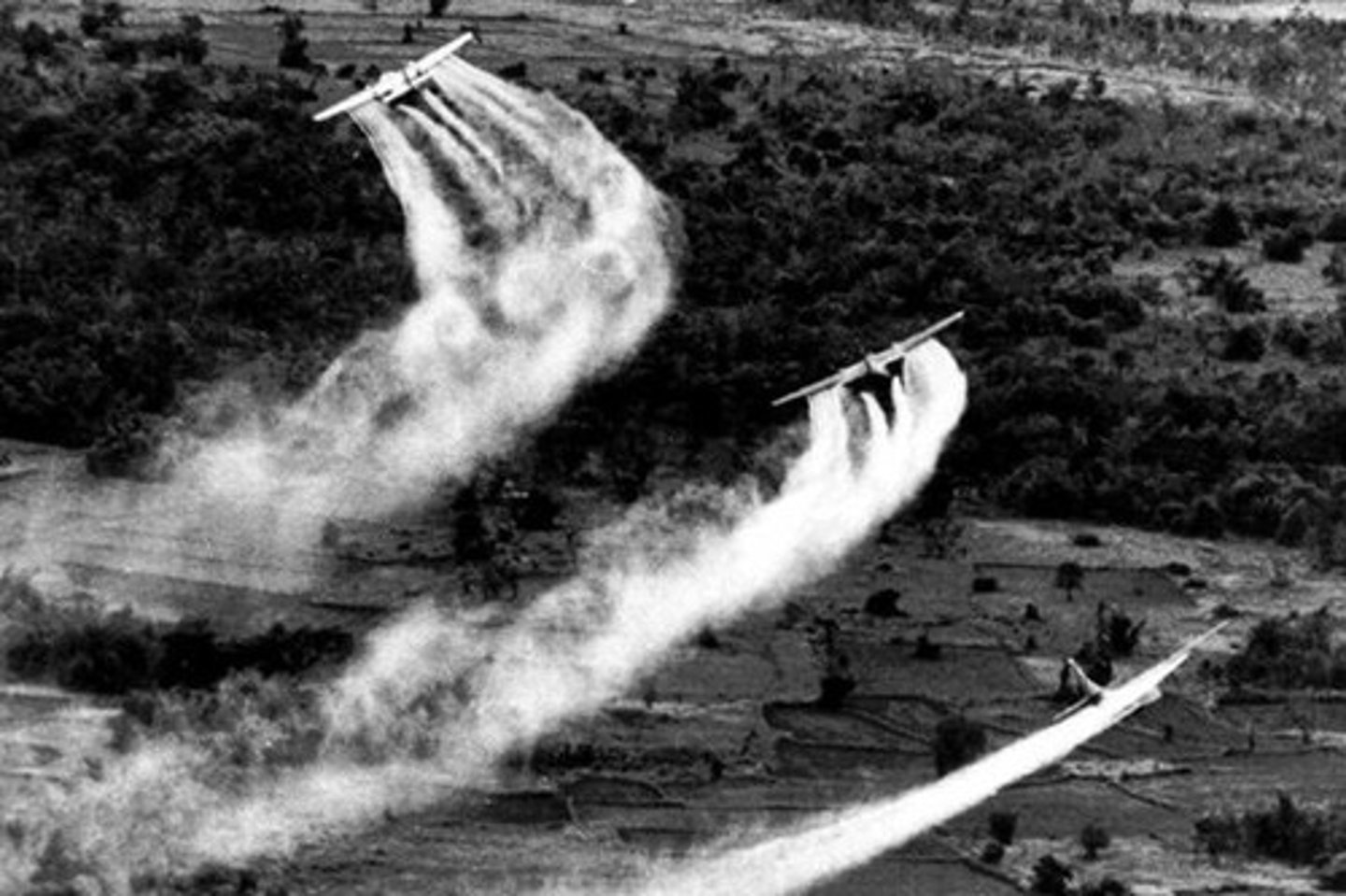 <p>Chemical weapons used in the Vietnam war to clear forest</p>