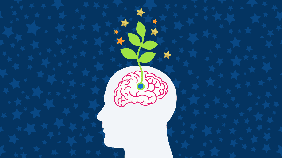 <p>mindset</p>