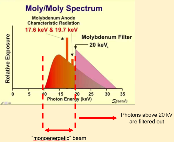 <p><span><span>Molybdenum:</span></span></p><p><span><span>•High melting point and low atomic number (Z = 42)</span></span></p><p><span><span>•Used as X-ray tube anode and filter</span></span></p><p><span><span>•Anode: produces characteristic X-ray peaks at 17.6 kV and 19.7 kV</span></span></p><p><span><span>•Filter: attenuation k-edge at 20 kV</span></span></p><p><span><span>•X-ray spectrum:</span></span></p><ul><li><p><span><span>•relatively narrow range of energies near 20 kV</span></span></p></li><li><p><span><span>•Optimum with respect to image contrast and radiation dose…especially for smaller breasts</span></span></p></li></ul><p></p>