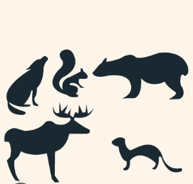 <p>Organisms that can not convert CO2 to organic compounds on their own. These get their food by eating other organisms or their byproducts. </p><p>Humans are an example of these.</p>