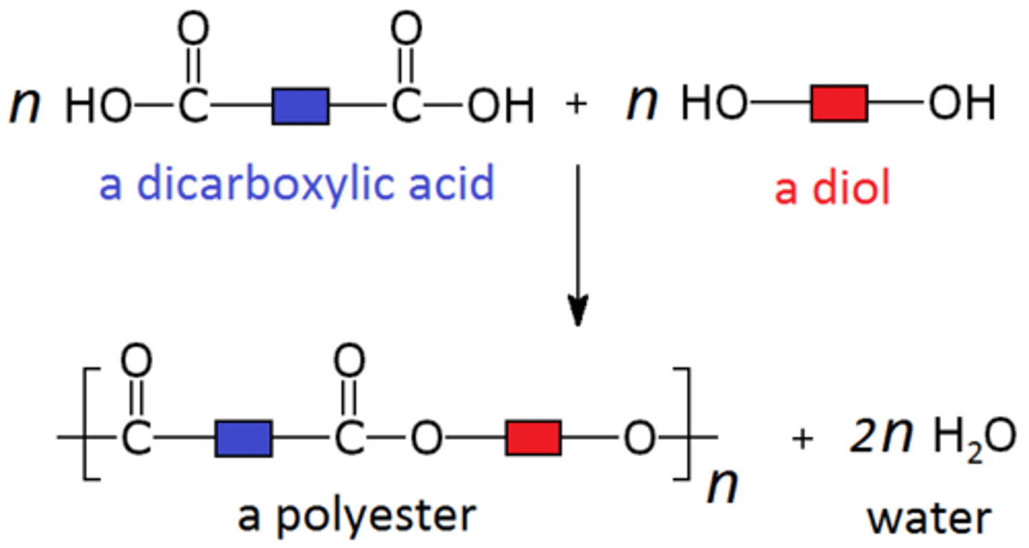 <p>condensation polymer + water</p>