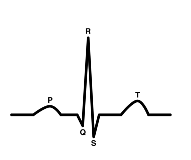 <p>heart reset period</p><p>ventricles relax</p><p>AV valves open</p><p>atria fill with blood</p><p>semilunar valves close (“dubb” sound)</p>