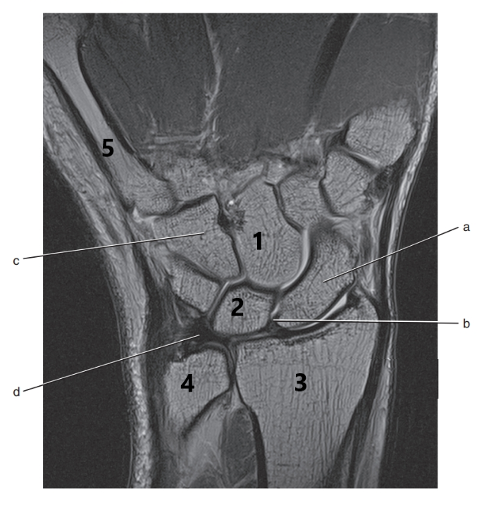 <p>What is # 3 ?</p>