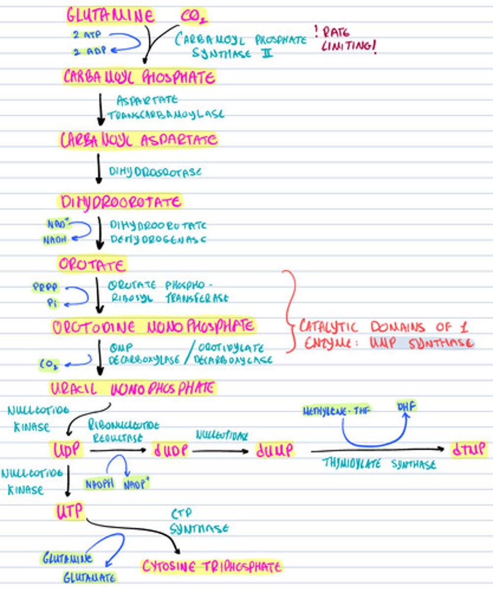 knowt flashcard image