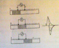 <ul><li><p>At rest, there is no action potential between electrodes A and B — the oscilloscope ray stays on the <strong>zero line</strong>.</p></li><li><p>When a strong stimulus is applied, <strong>depolarization</strong> begins.</p></li><li><p>As depolarization reaches <strong>electrode A</strong>, its surface becomes <strong>negative</strong> compared to B — the oscilloscope ray <strong>moves upward</strong>.</p></li><li><p>When the signal reaches <strong>electrode B</strong>, both electrodes are equally excited — the ray <strong>returns to zero</strong>.</p></li><li><p>When the area near <strong>electrode A repolarizes</strong>, it becomes <strong>positive</strong> compared to B — the ray <strong>moves downward</strong>.</p></li></ul><p></p>