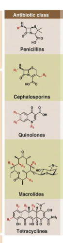 <p></p><p>all organic, structures differ, sometimes are modified in the lab based on what we need them for; most antimicrobial drugs are derivative of natural compounds</p>