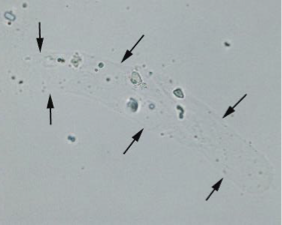 <p>What is this?</p>