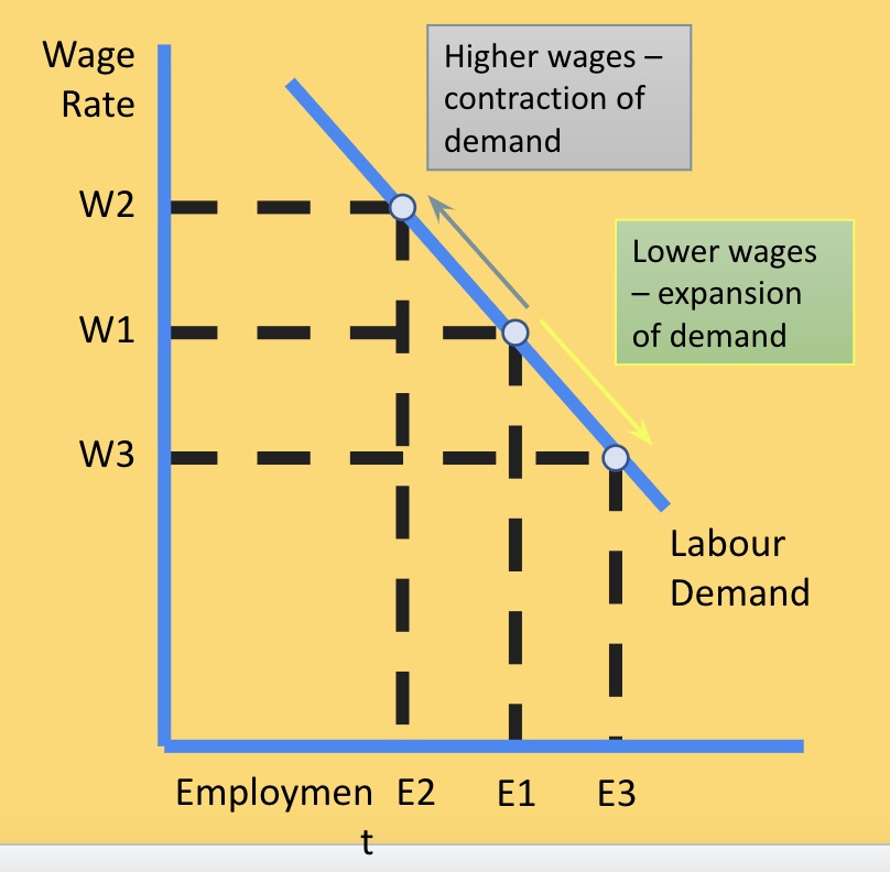 <p>demand for labour</p>