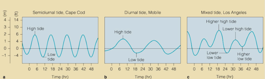 <p><span>during a lunar cycle: a small semi-diurnal inequality and a very pronounced one</span></p>