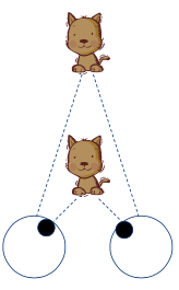 Move eyes to focus on object at different distances away from us/move along horizontal plane 