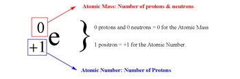 <p>- Particle with the same mass as an electron</p><p>- Has a positive charge</p><p>- Antiparticle of an electron</p><p>- Annihilates upon collision with an electron, releasing energy</p>