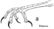 knowt flashcard image