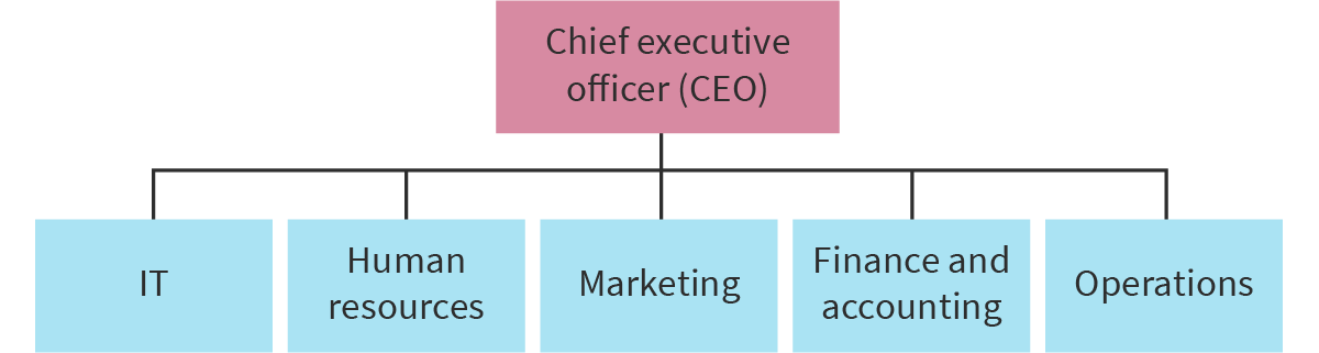 <p>Shows the reporting relationships within an organization.</p>