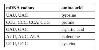 <p><span>Refer to the illustration above. Suppose that you are given a protein containing the following sequence of amino acids: tyrosine, proline, aspartic acid, isoleucine, and cysteine. Use the portion of the genetic code given to determine which of the following contains a DNA sequence that codes for this amino acid sequence.</span></p>