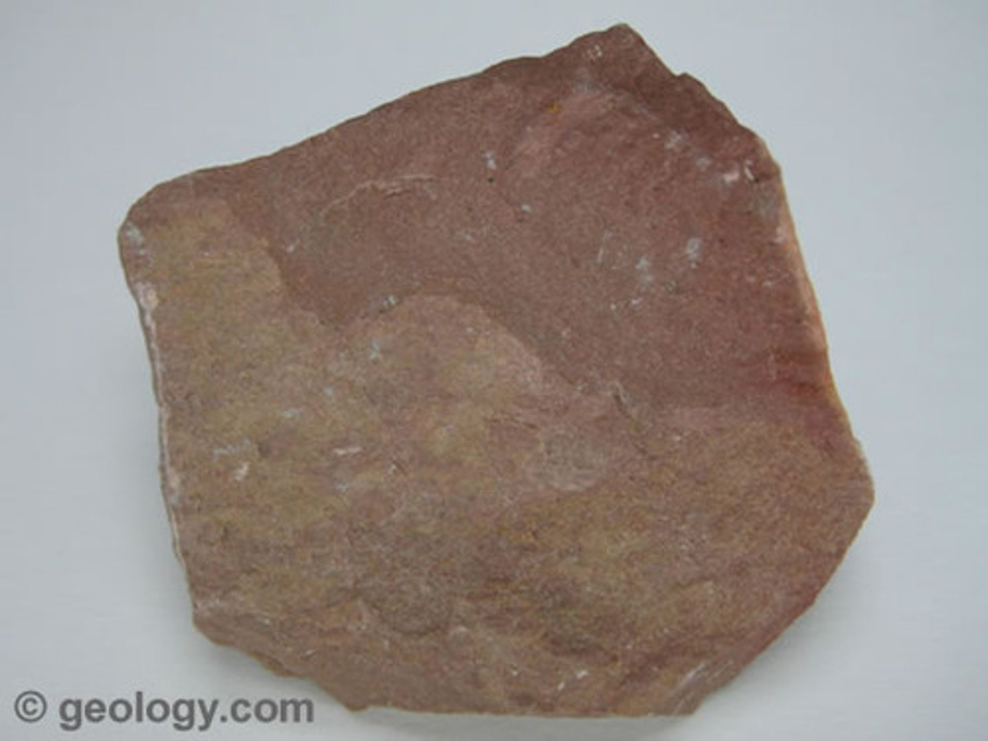 <p>- Sedimentary rock<br>- Clastic<br>- Particle size: silt<br>- Formed in a low energy environment but higher than shale: probably small river or offshore marine</p>