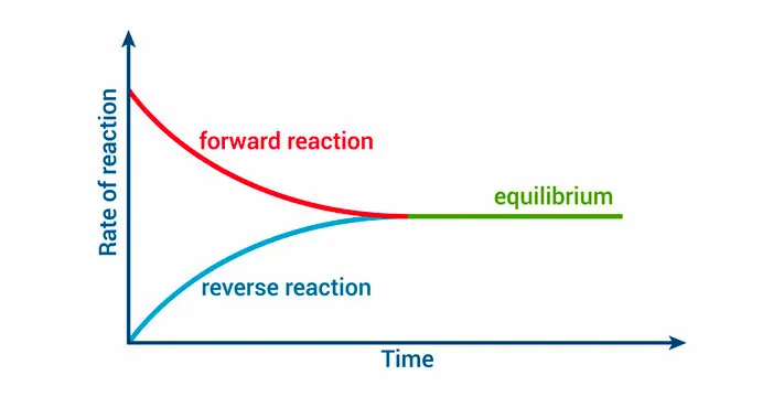 <p>Are the concentrations of reactants and products at equilibrium always equal? Why or why not?</p>