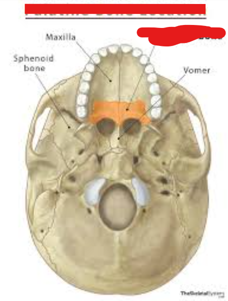 <p>What Facial Landmark is this?</p>