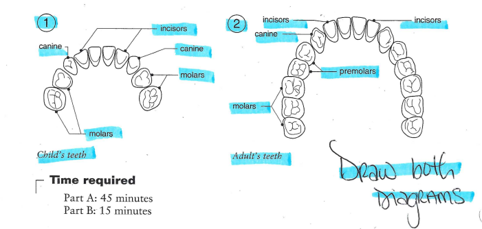 knowt flashcard image