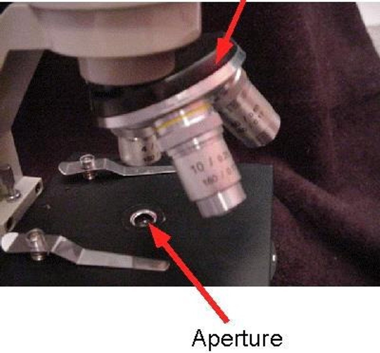 <p>It allows transmitted light from the source to reach the specimen.</p>