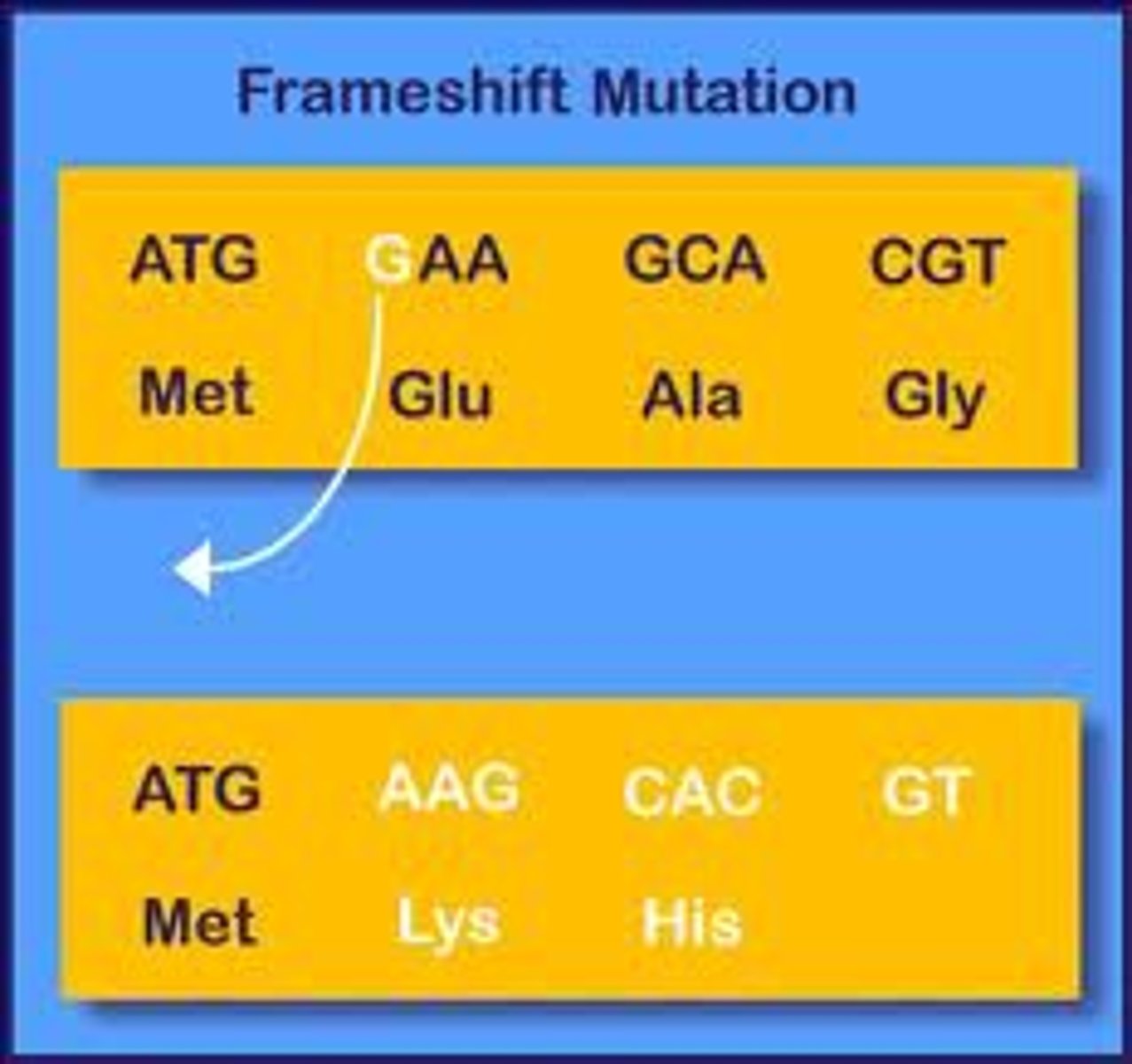 <p>Base insertion or deletion, which shifts the reading frame.</p>