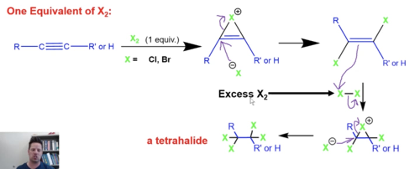 <p>X2 will add again to the alkene, forming a three-membered ring with all single bonds</p><p>-the ring will be opened up by another X molecule, forming a tetrahalide</p>