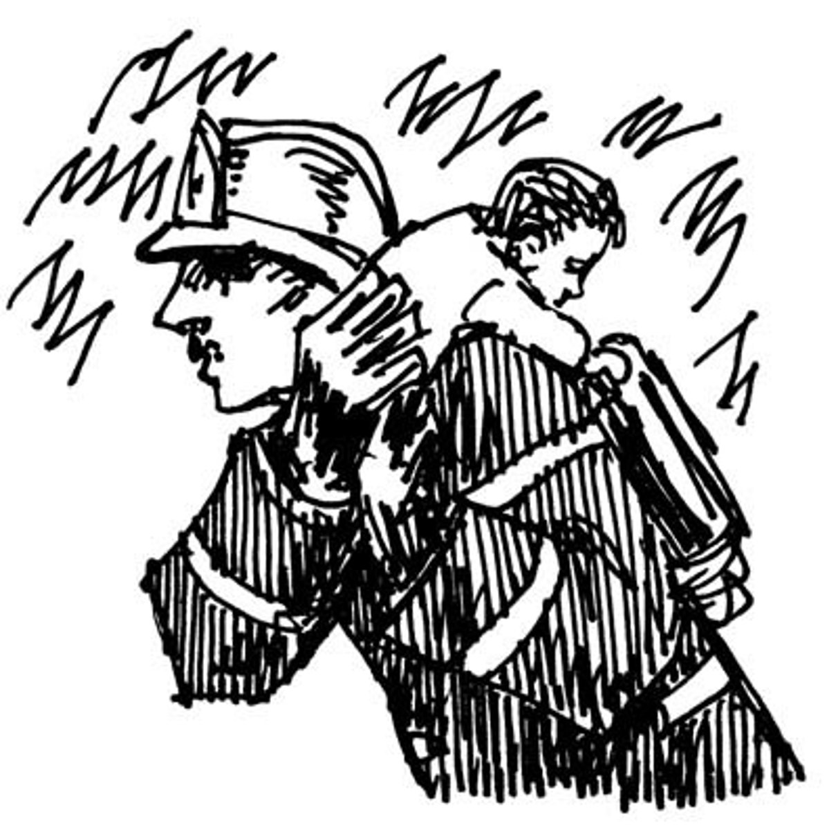<p>The hero rescued the child.</p>