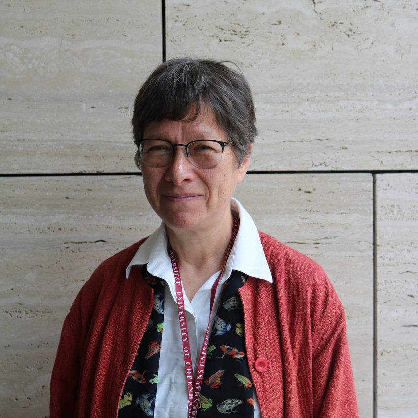 <p>Anna tsing</p>