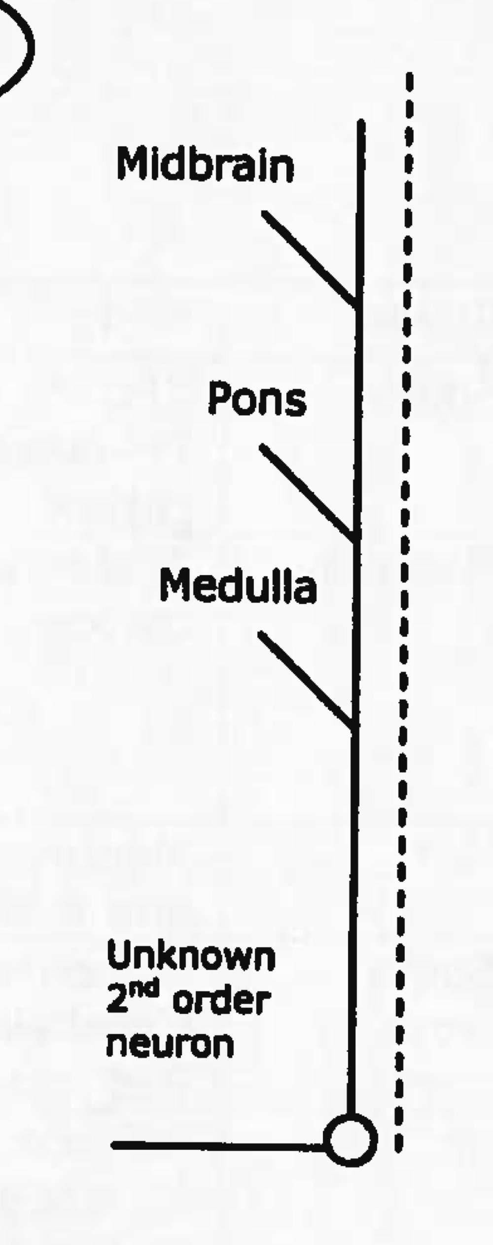 <p>Name tract</p><p>Ascending or descending?</p>