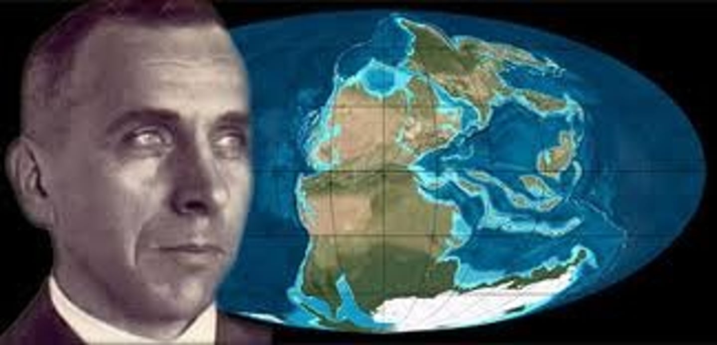 <p>A German scientist who proposed the theory of continental drift</p>