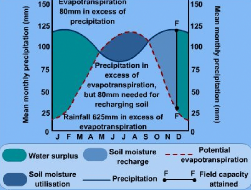 <ul><li><p><u>autumn</u> - <strong>- soil moisture recharge </strong>input (precip) &gt; output (evapotranspiration), deciduous trees lose their leaves and lower temp = less photosynthesis</p></li><li><p><u>winter</u> - <strong>soil moisture recharge/surplus</strong> potential evapotranspiration reaches minimum due to temp. precip (infiltration and percolation) refill the water table </p></li><li><p><u>spring</u> - feb/march <strong>soil moisture surplus</strong> plants start to grow again and potential evapotrans increases as temp gets higher and plants start photosynthesising.</p></li><li><p><u>summer </u>- hotter weather leads to <strong>utilisation of soil water</strong> as evapotranspiration and rainfall is minimum. outputs are greater than inputs so soil water starts depleting. <strong>soil water deficit</strong> may occur if there is long summer and spring and less winter rainfall or drought in previous year.</p></li></ul><p>the cycle then repeats</p>