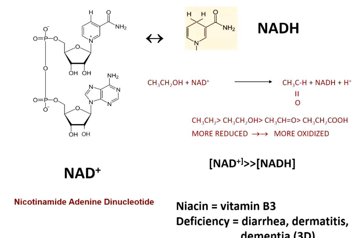 <p>2 electrons and 1 hydrogen </p>