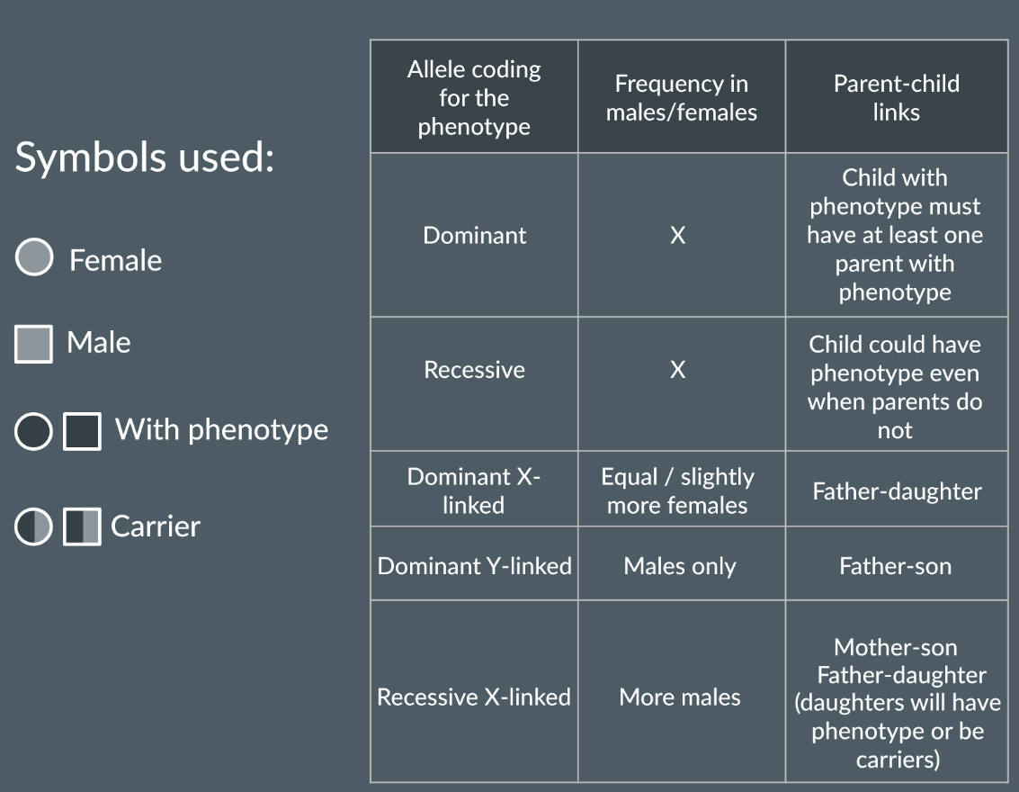 <p>They show the inheritance of a particular phenotype over several generations.</p><p></p>