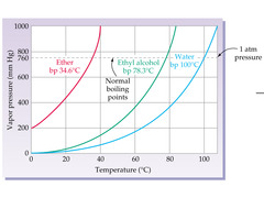 <p>On a vapor pressure graph, the left side of one of these lines represents what phase?</p>