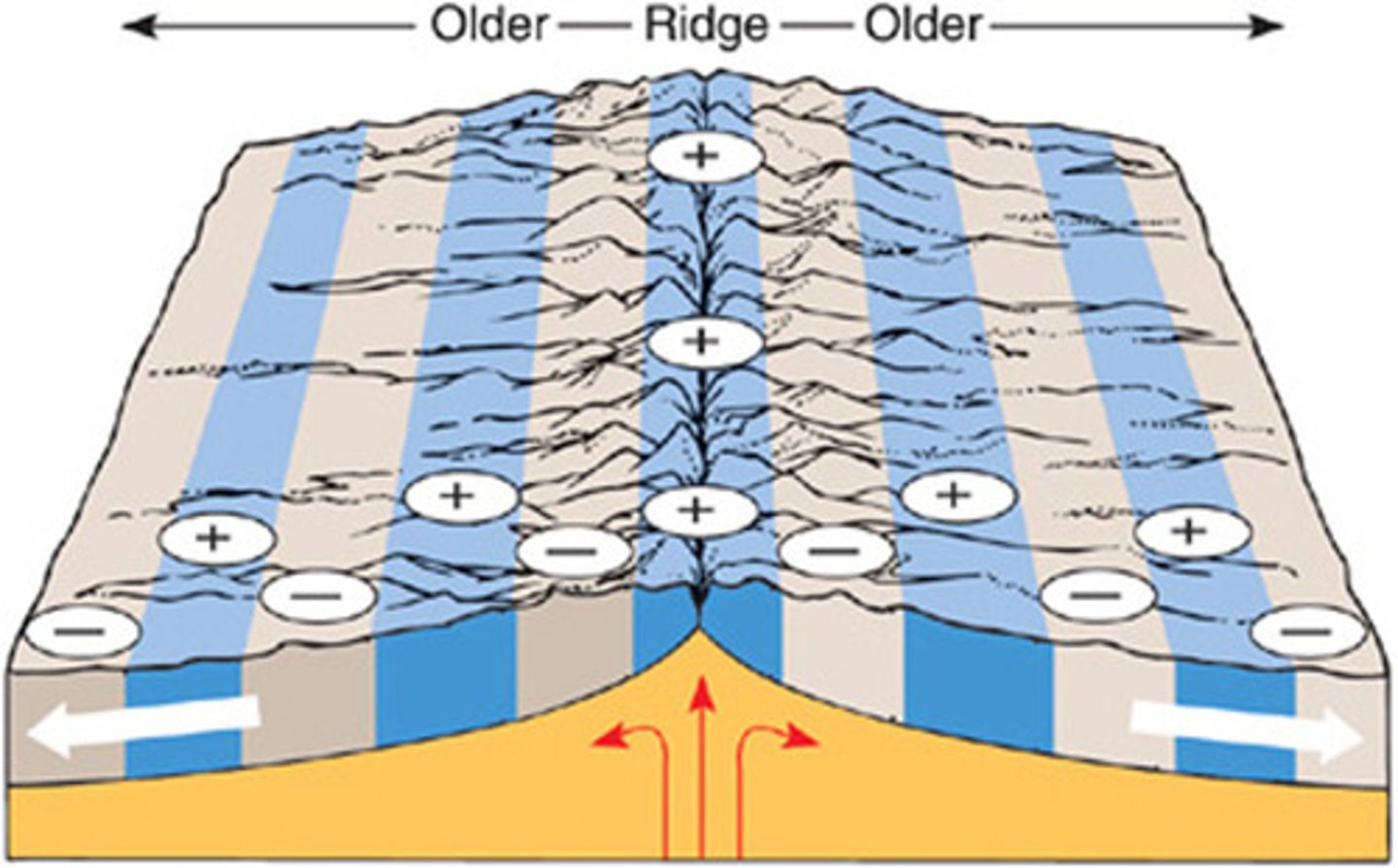 <p>When Earth's magnetic field changes polarity from normal to reversed.</p>
