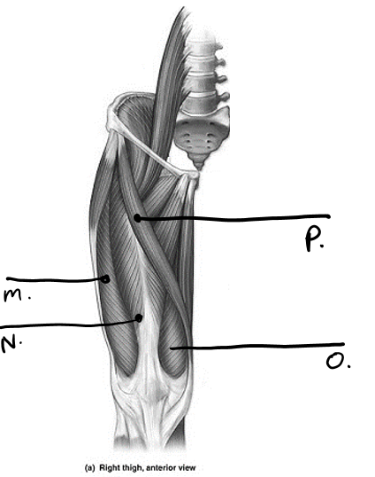 <p>what is o </p>