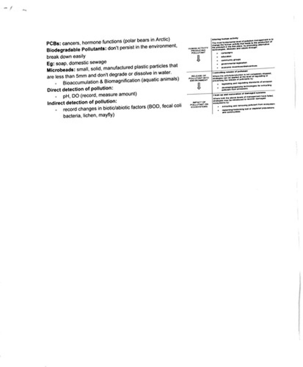 <p>Addition of a substance to the environment by human activity at a rate greater than which it can be rendered harmless.</p>