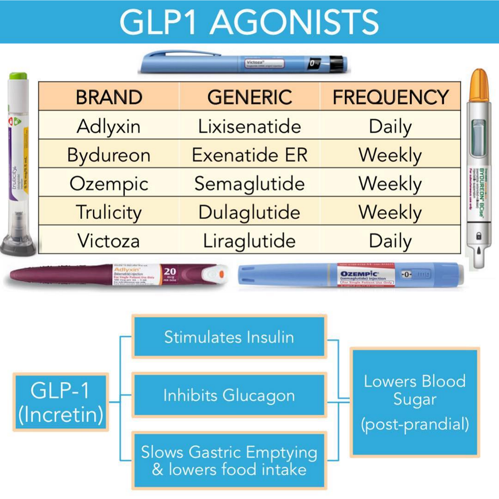 <p>GLP-1 agonists including: Liraglutide (Victoza) SQ daily, extended release Exenatide (Bydureon) SQ weekly, and Dulaglutide (Trulicity) SQ daily<br><br>know the three above… <span style="color: rgb(228, 18, 18)">the chart isn’t specific to children</span><br></p><p><em>insulin therapy indicated when C peptide is low</em></p>