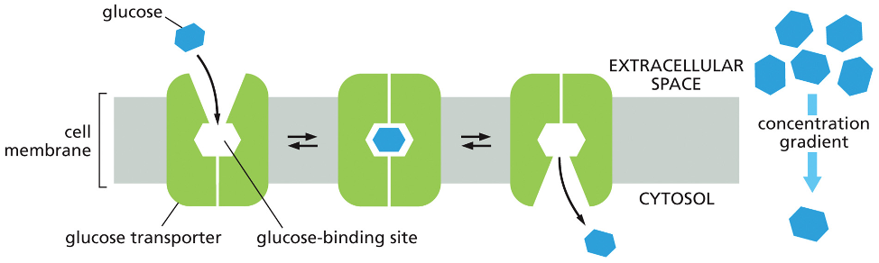 <p>describe this figure </p>