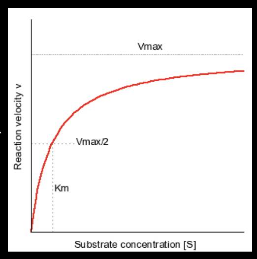 <ul><li><p>substrate concentration at which the reaction rate is exactly half of Vmax </p></li><li><p>demonstrates the “affinity” of an enzyme for it’s substrate </p><ul><li><p>“affinity” refers to the strength of bond between enzyme and substrate</p></li></ul></li><li><p>a smaller Km = higher affinity </p><ul><li><p>bc you don’t need a high concentration of substrate to get the enzyme to work at half it’s max speed</p></li></ul></li></ul><p></p>