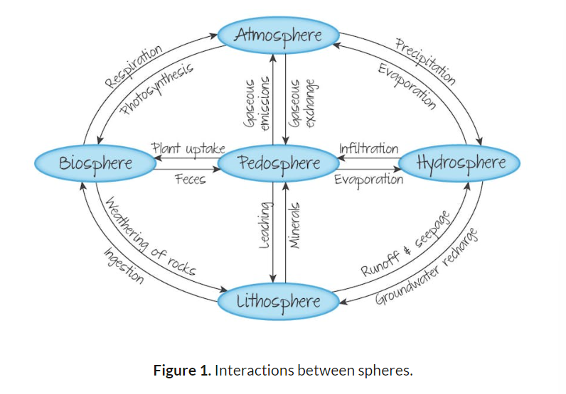 <p>pedosphere (soil)</p><p>lithosphere (rocks)</p><p>hydrosphere (water)</p><p>atmosphere (air)</p><p>biosphere (living)</p>