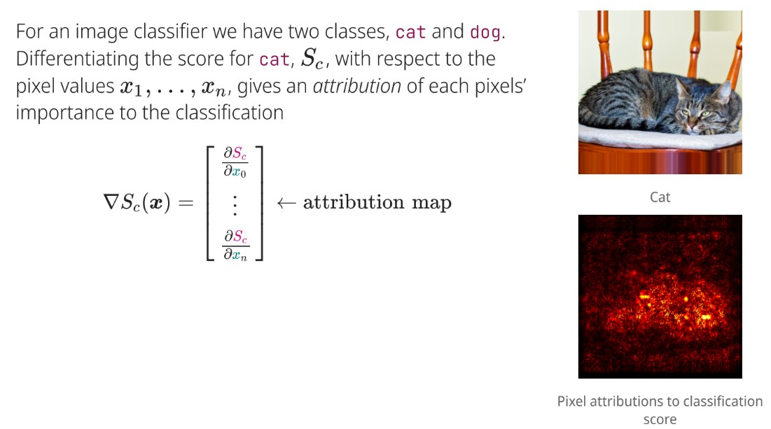 <p>Provides an attribution map showing each pixel's importance to the classification.</p>