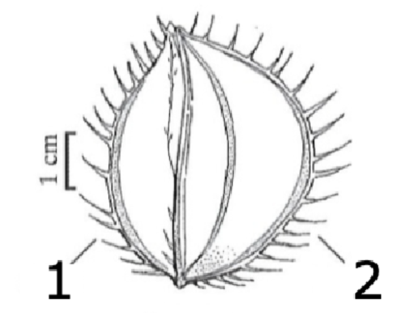<p>what is 2?</p>
