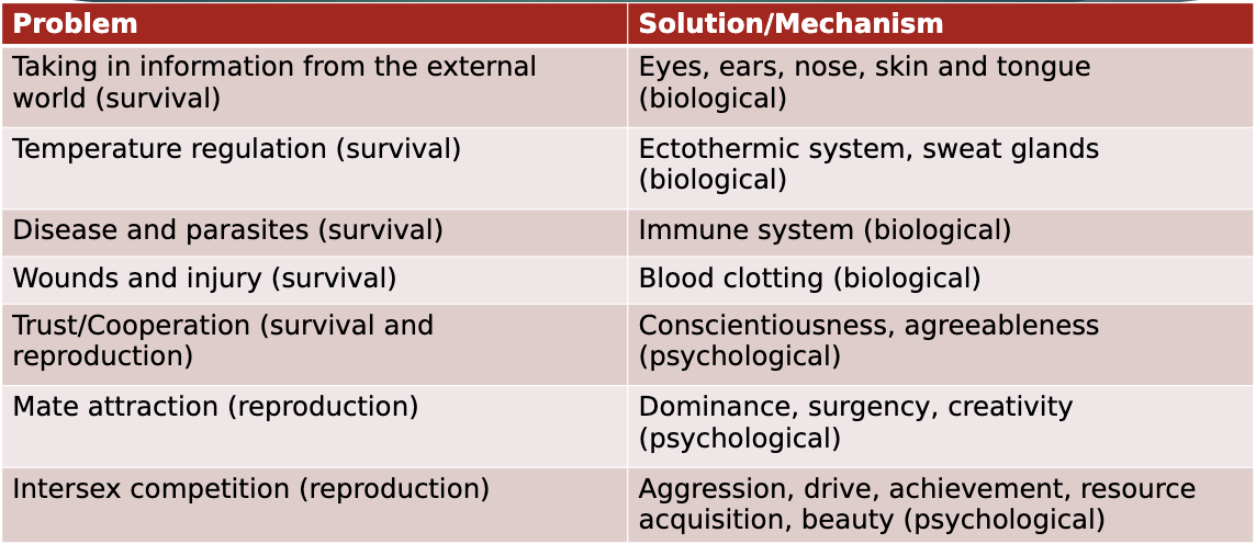 2 major kinds of mechanisms