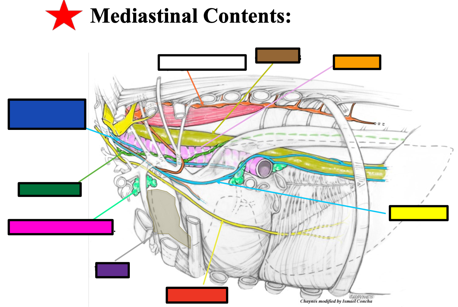 <p>What does the purple box refer to?</p>