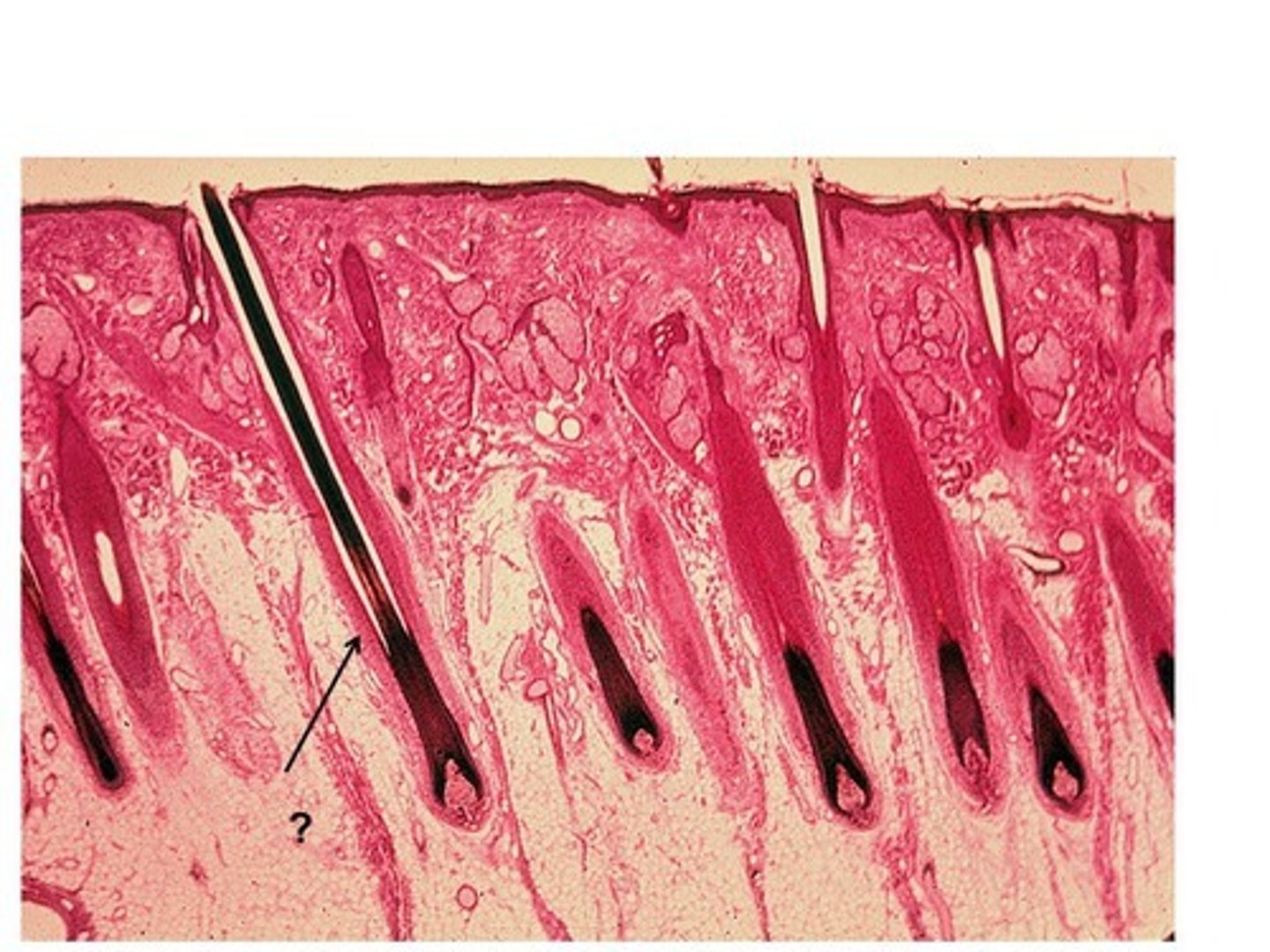 <p>what is this called?</p>