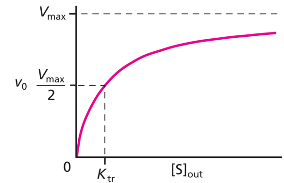 <p>Hyperbolic</p><ul><li><p>upper limit to the speed of transport</p></li></ul><p></p>