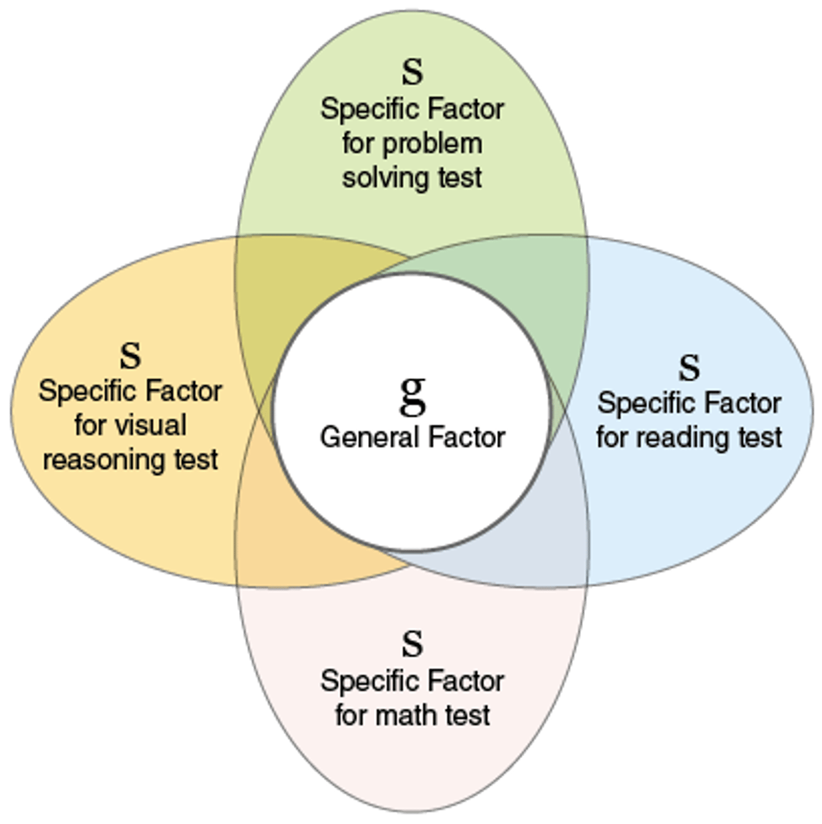 <p>creator of "g-factor", or general intelligence, concept and specific factors (f) - thought this because kids that tested good on one subject tend to do good on another</p><p>every task requires a combination of a general ability (g) and skills that are specific to the task (s) and shared with no other</p><p>ex.</p><p>G (general intelligence)</p><p>underneath have group factors (ex. memory)</p><p>underneath that cateogory have specific factors (ex. recalling movie titles)</p>